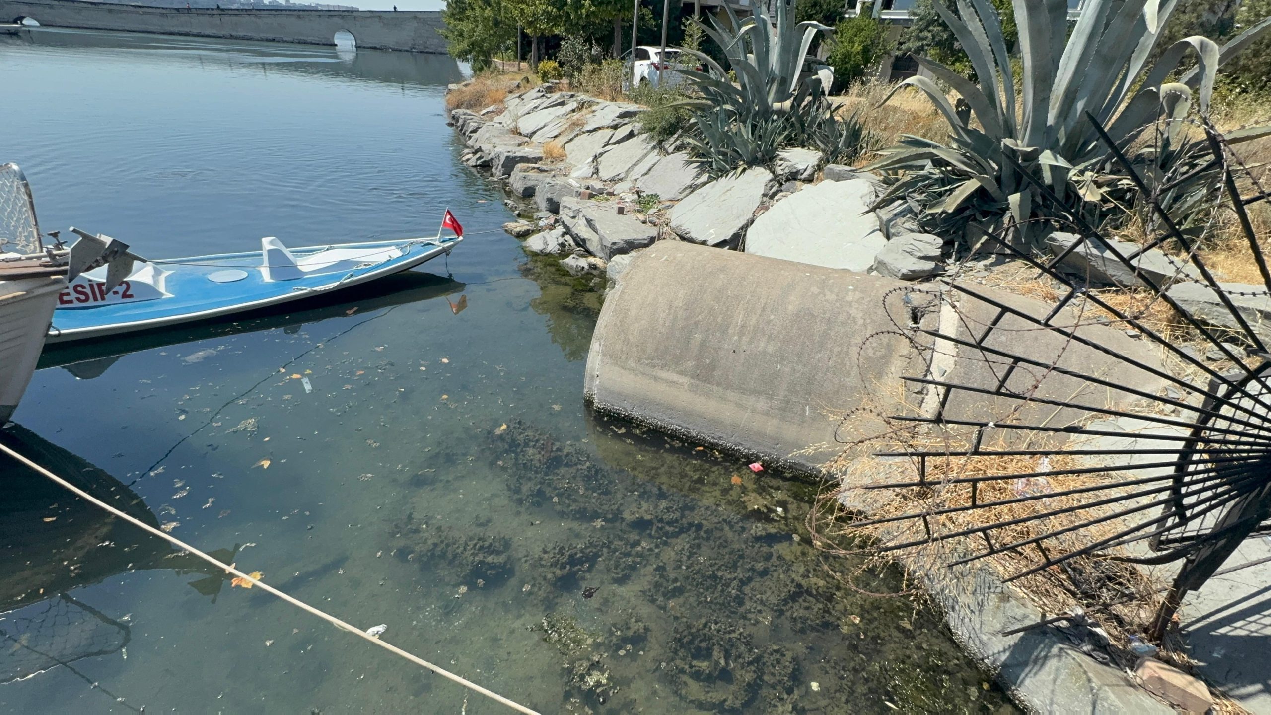 Küçükçekmece Gölü Can Çekişiyor!