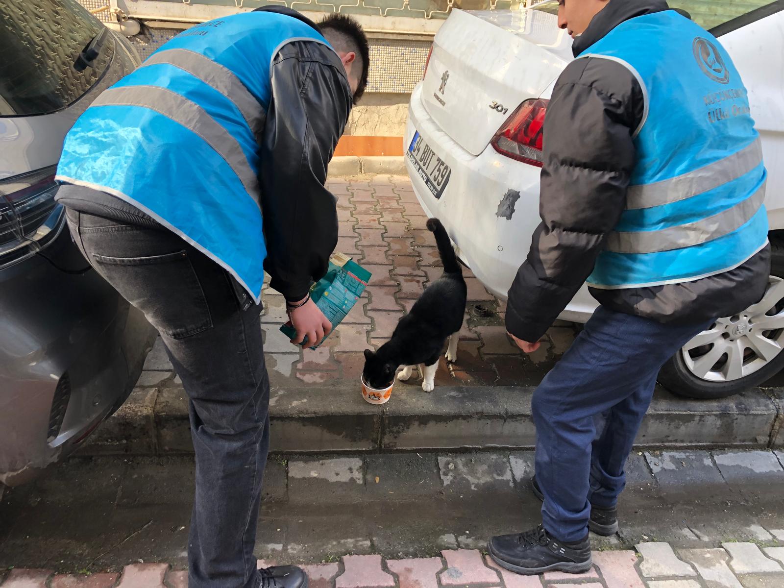 Küçükçekmece Ülkü Ocakları'ndan Sokak Hayvanlarına Destek
