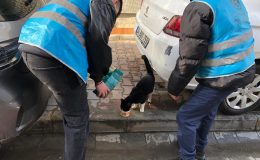 Küçükçekmece Ülkü Ocakları’ndan Sokak Hayvanlarına Destek
